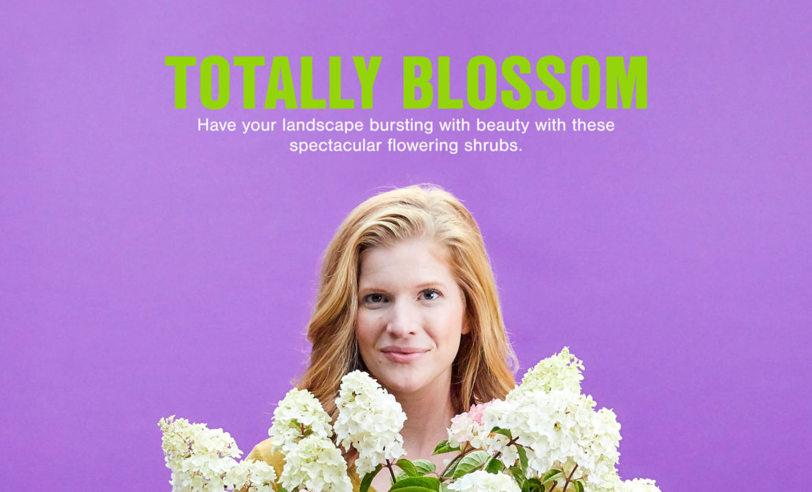 Totally Blossom First Editions Ad