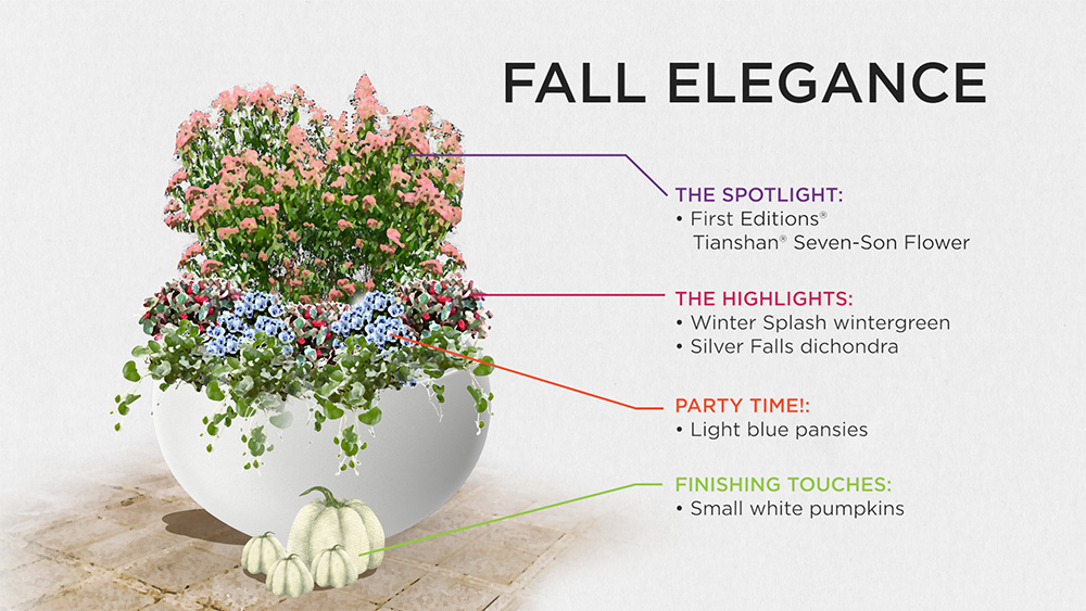 illustration of a fall decorative container featuring Tianshan seven-son flower