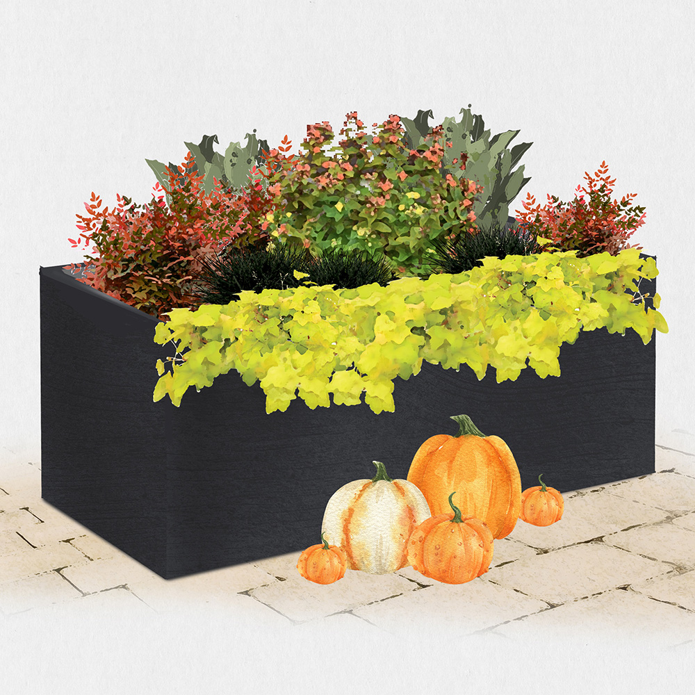 Fall Container Design Tips & Ideas | First Editions