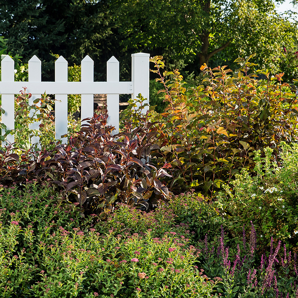Landscape Design Tips First Editions Landscape Design Tips First Editions