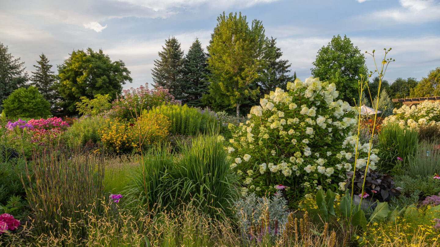 Plant Landscape Design: Tips for Transforming Any Outdoor Space into a ...