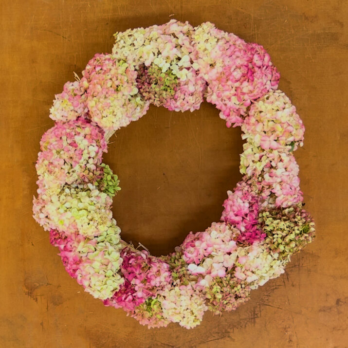 Image showcasing DIY Panicle Hydrangea Wreath | First Editions