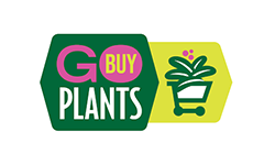 Go Buy Plants